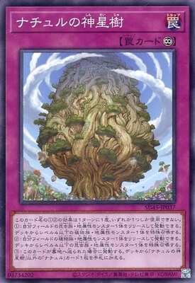 Yugioh SD45 - JP037 (N)