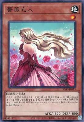Yugioh SD45 - JP015 (N)