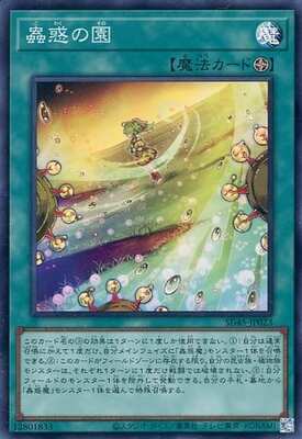 Yugioh SD45 - JP023 (SR)
