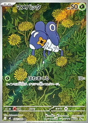 Pokemon M2  -  082 / 080 AR