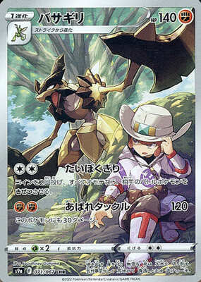 Pokemon S9a  - 071/067 CHR