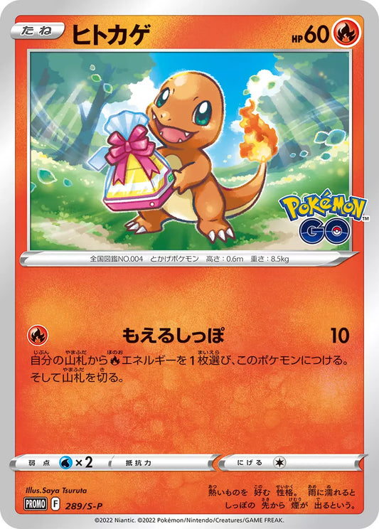 Pokemon Promo Charmander - 289/S-P